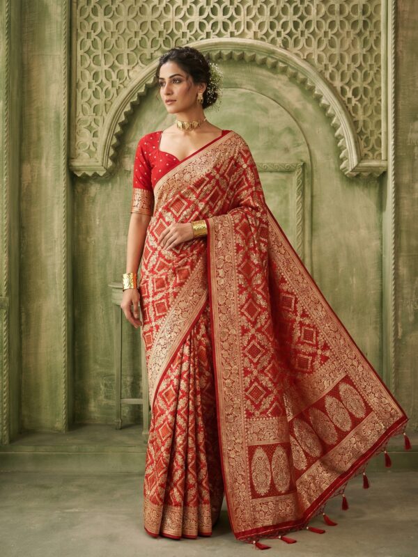 Jigyasa satin-2